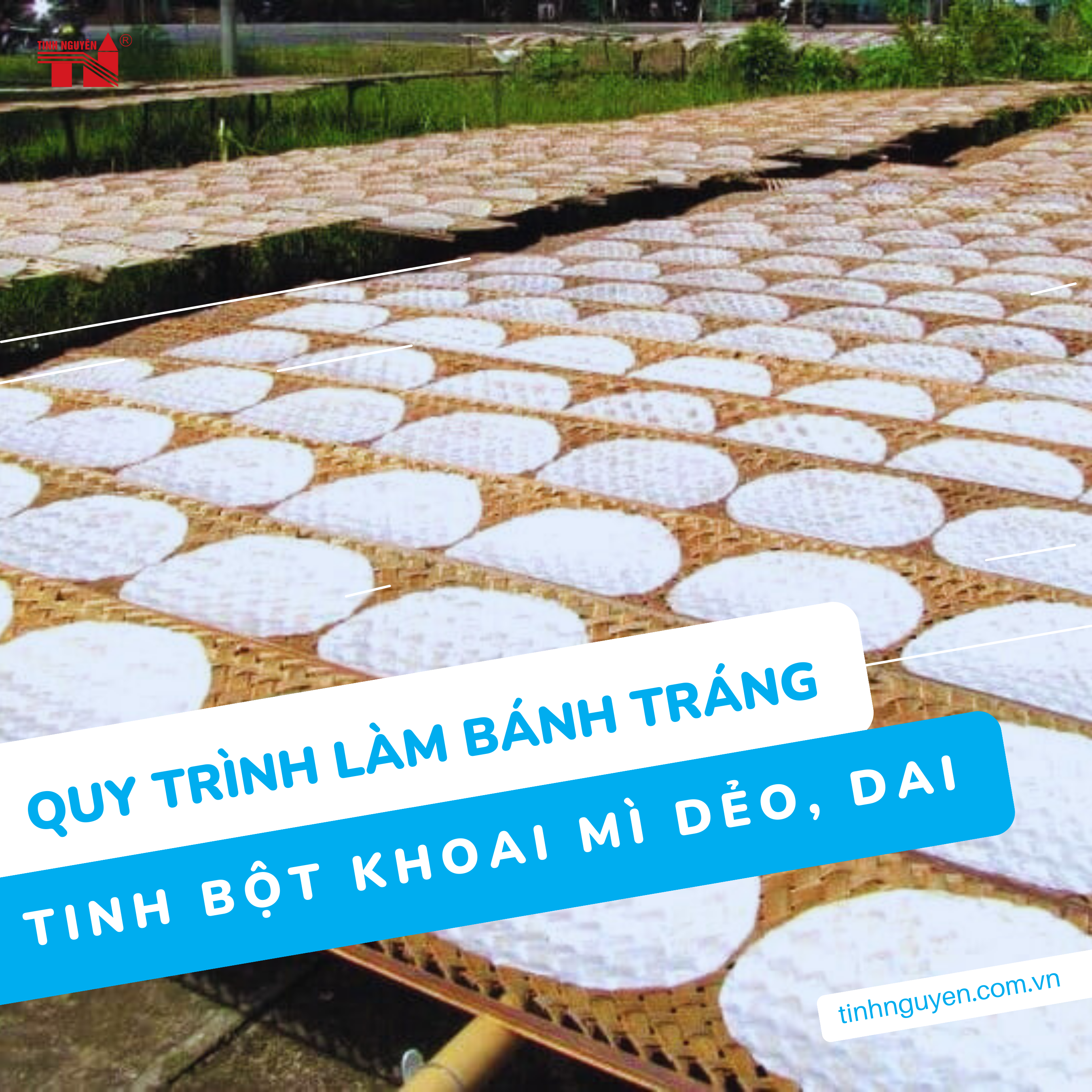 Quу trình làm bánh tráng tinh bột khoai mì dẻo, dai